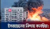 আরব দেশগুলো চুপ, ইসরায়েলের বিরুদ্ধে মুখ...